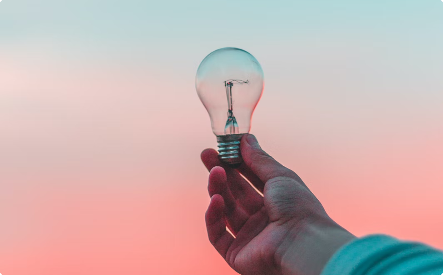 Hand holding a lightbulb
